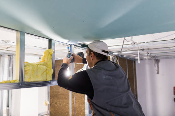 Best Geographic-Specific Insulation Services in Cheshire Village, CT