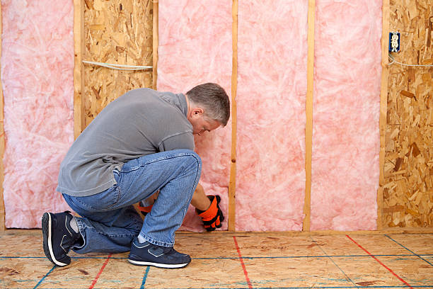 Best Eco-Friendly Insulation in Cheshire Village, CT